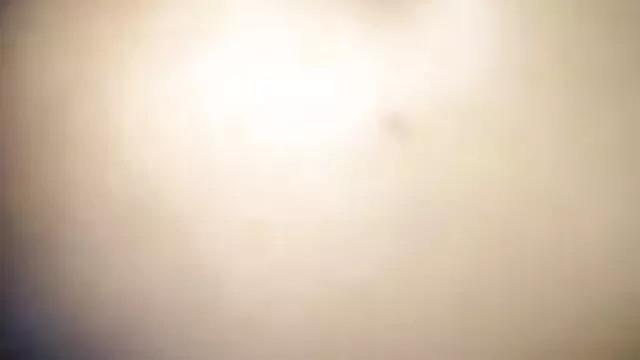 ब्रीडमेरा रिले मिचेल बेकार कुत्ते शैली फुल एचडी बीएफ सेक्सी मूवी में कंडोम शॉवर