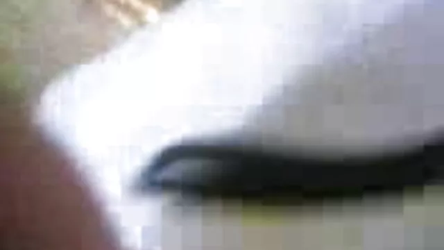 कैली Kayden किशोर सेक्सी वीडियो एचडी हिंदी फुल मूवी फूहड़