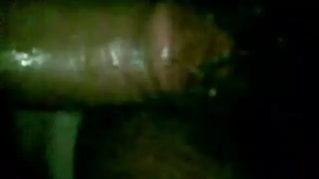 मिन-सन किम-एक सौंदर्य का चित्र हिंदी सेक्सी मूवी फुल एचडी में