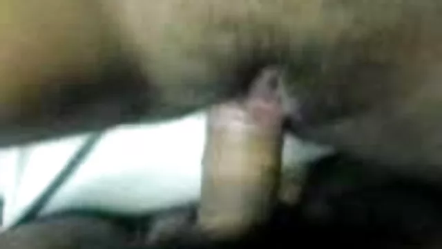 रीना फुजीमोटो मुर्गा के हिंदी सेक्सी फिल्म फुल एचडी साथ बिल्ली लोड करता है तो निगल-69 एवीएस कॉम पर अधिक
