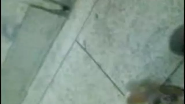 गर्म एशियाई सेक्सी पिक्चर फुल एचडी मूवी छात्रा है एक अद्भुत