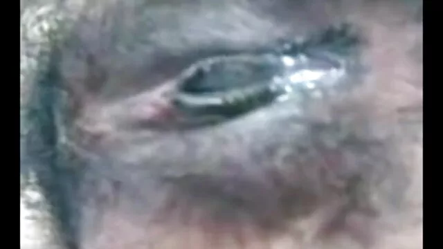 भालू नीचे से हंक डिक बीएफ सेक्सी मूवी वीडियो फुल एचडी के बाद