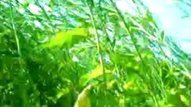 एतान और हारून एक हिंदी सेक्सी वीडियो फुल मूवी एचडी साथ कमबख्त