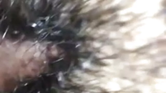 कमबख्त सेक्सी वीडियो फुल मूवी एचडी हिंदी की कला