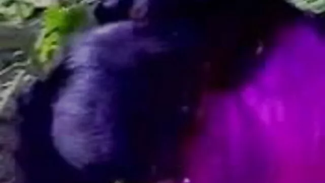 सीधे हिंदी सेक्सी मूवी फुल एचडी किशोर Cory बंद मरोड़ते