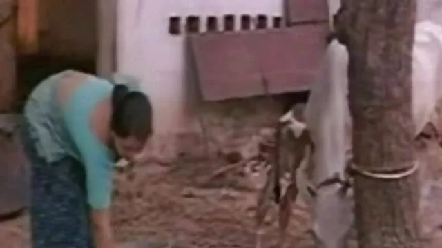 प्रभुत्व है कि गधे फुल एचडी सेक्सी फिल्म