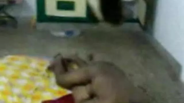 बड़े स्तन सुनहरे बालों वाली लड़की सनी लियोन की सेक्सी वीडियो फुल एचडी मूवी