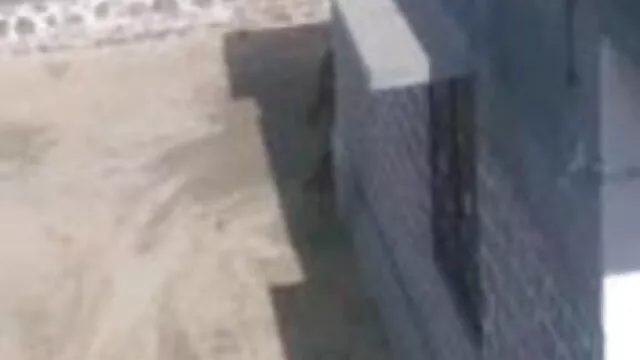 जिज्ञासु, पहली समलैंगिक सेक्सी फिल्म फुल एचडी अनुभव