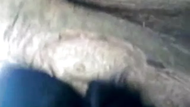 पत्नी-पति संकलन भाग 6 से पहले हिंदी सेक्सी मूवी फुल एचडी में मुर्गा सवारी जंगली महिलाओं है